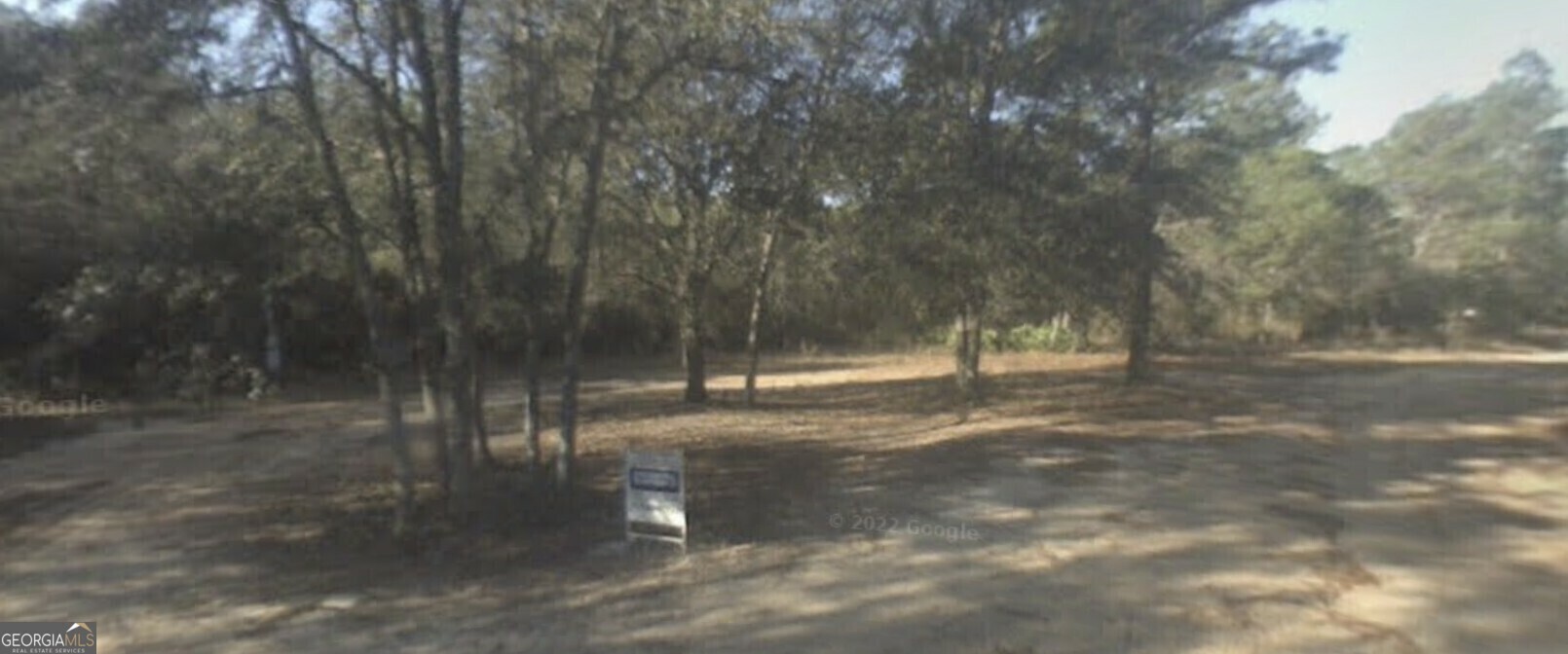 Property Photo: 541 Live Oak Lane Road GA 31321