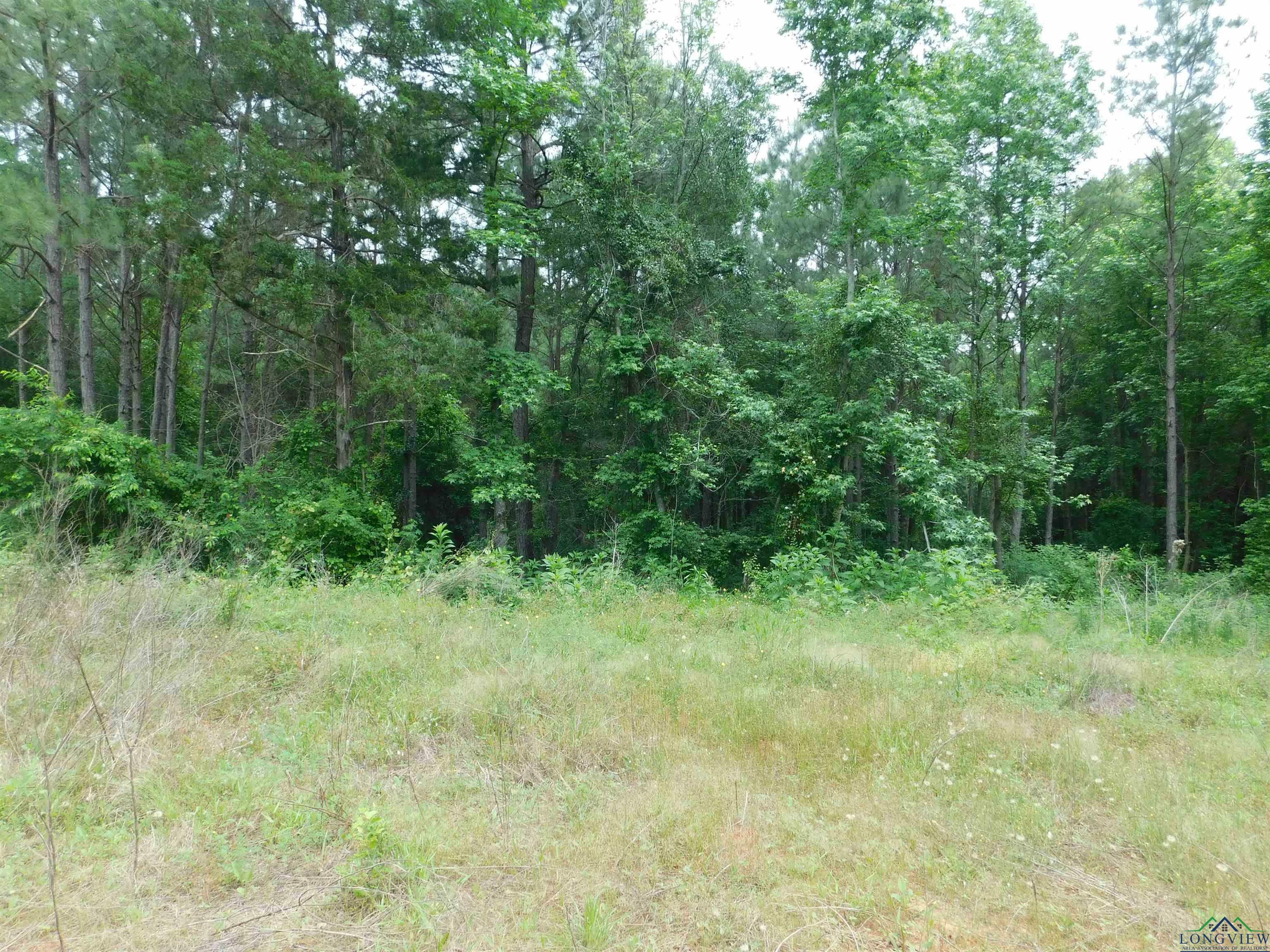 Property Photo: Tbd Megan Mills Rd TX 75644