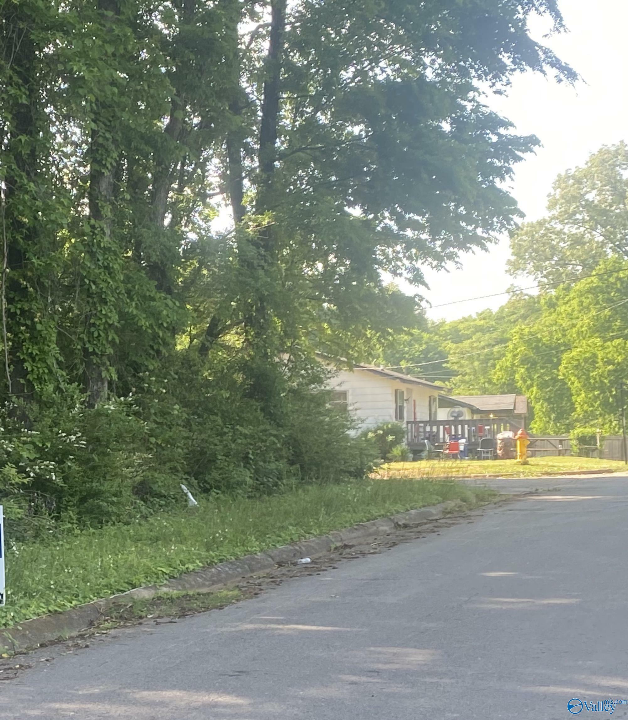 Property Photo: Lot 10-11 Blair Street S AL 35630