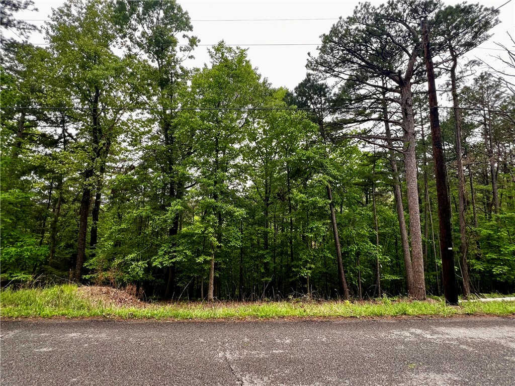 Lot 957 Spruce Drive  Rogers AR 72756 photo