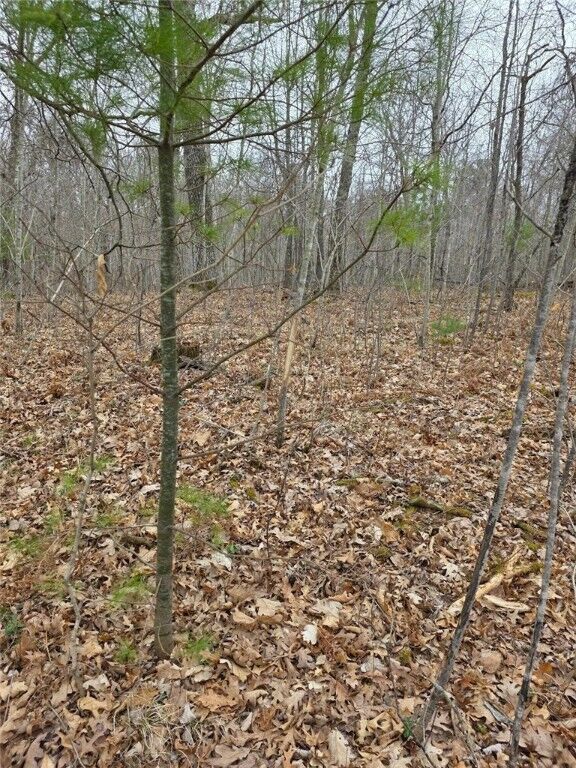 Property Photo:  Lot 8 Lukes Lane  WI 54830 