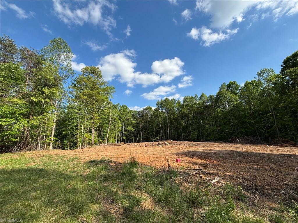 Property Photo: 00 Kirby Bowman Road NC 27047