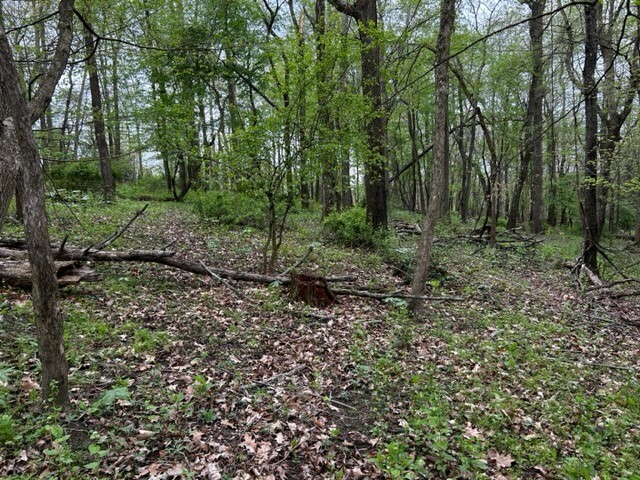 Property Photo: Lot 216 Thompsonville Road PA 15317