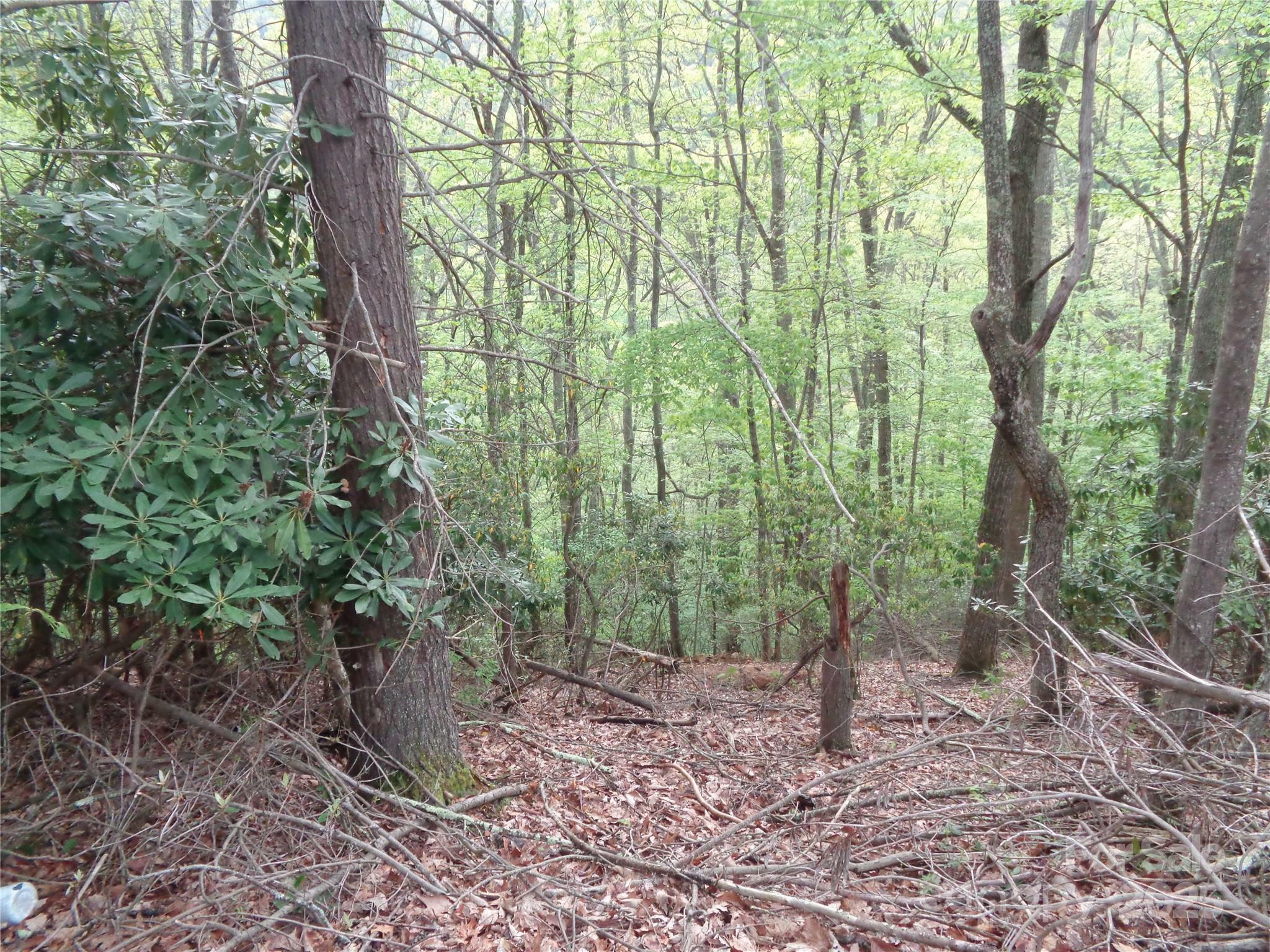 Property Photo: 00 Promiseland Road NC 28716