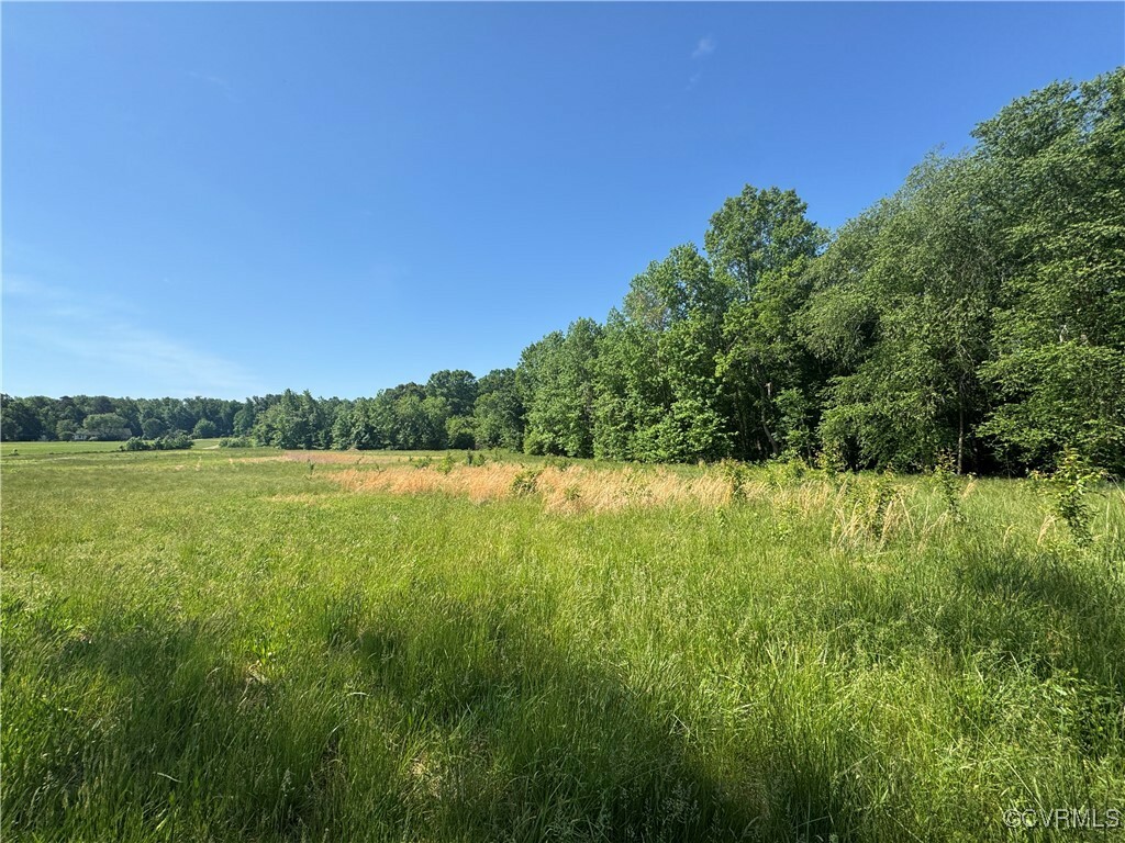 Property Photo:  0 Old Hanover Road  VA 23150 