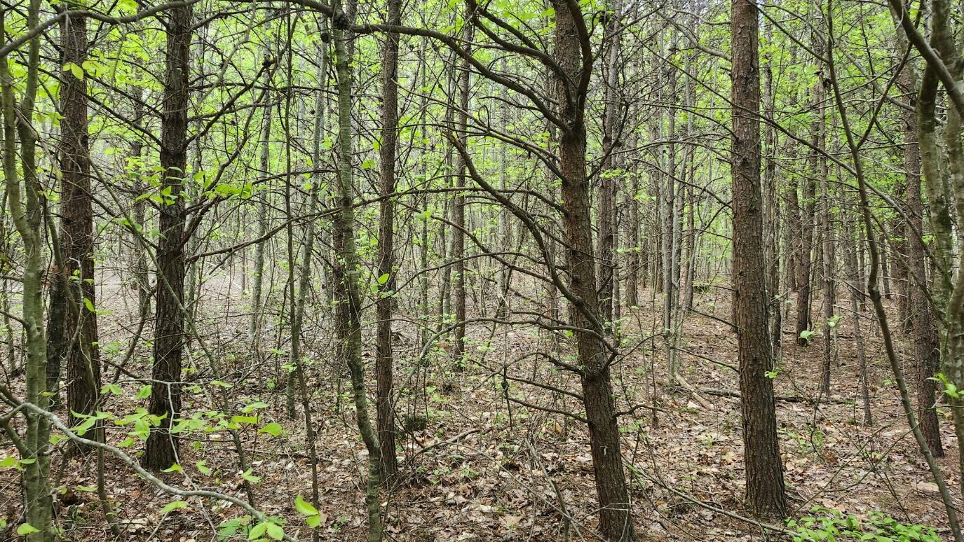 Property Photo: 0 Old Holy Water Road TN 37387