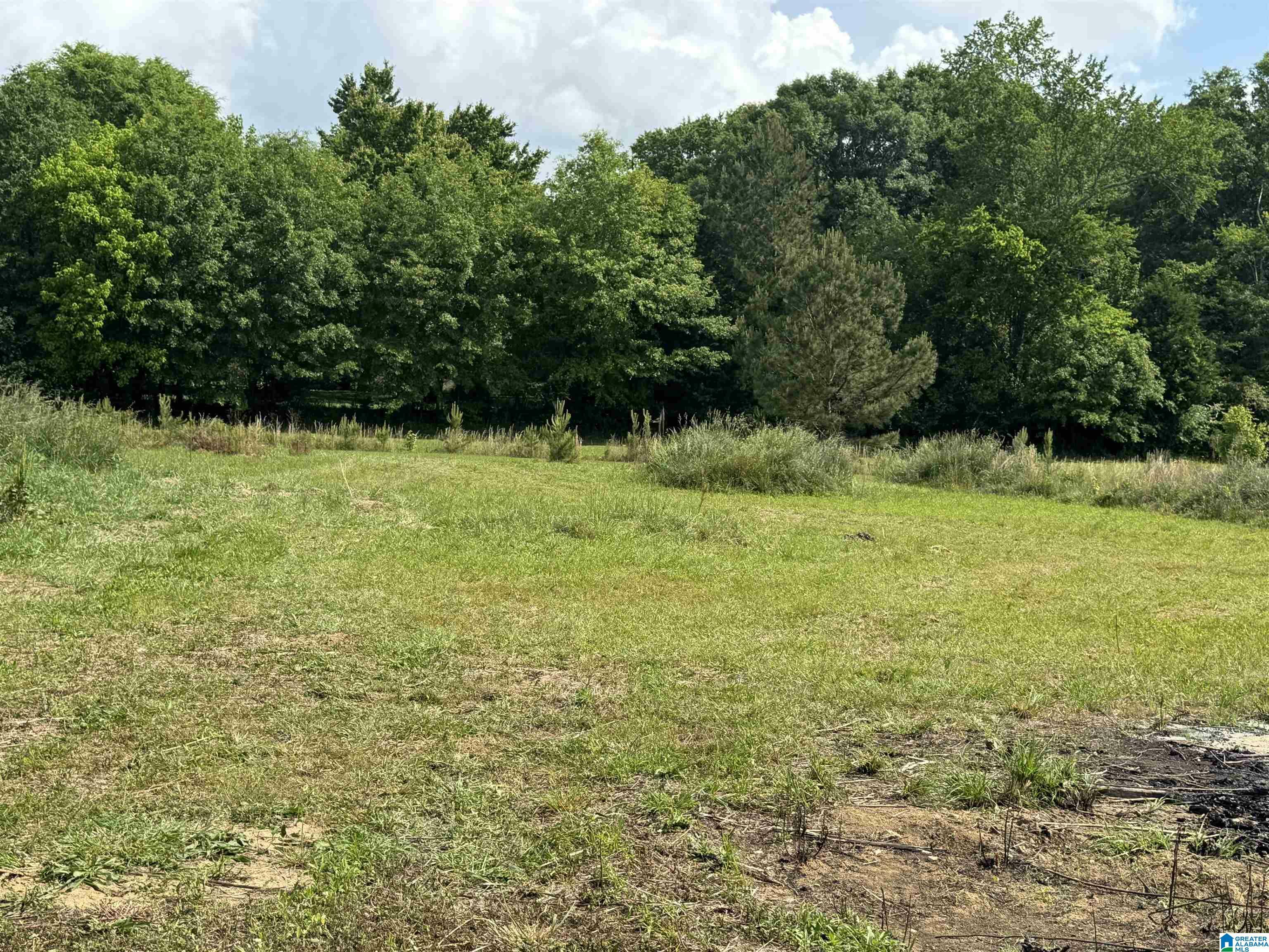 Property Photo: 136 Dewey Lane 4 AL 36202