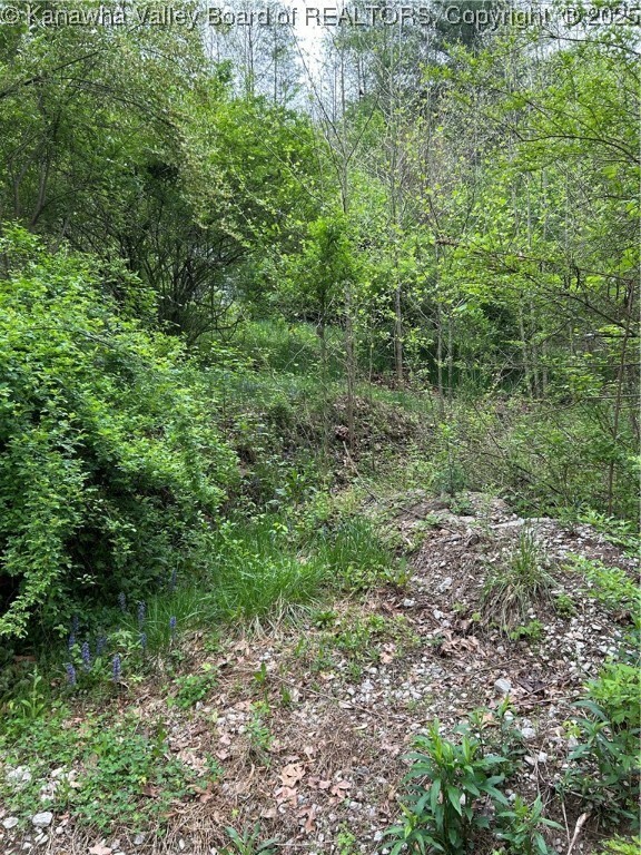 261 Poca River Road  Charleston WV 2312 photo