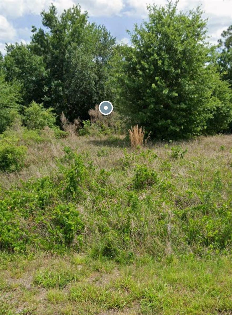 Property Photo: 363 Parker Street NE FL 33852