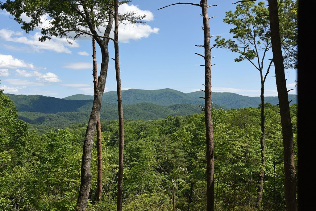 Property Photo: 160 Broken Arrow Path GA 30513