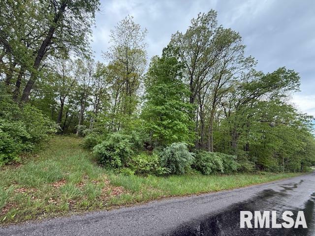 Property Photo: Tbd Country Club Road IL 62959