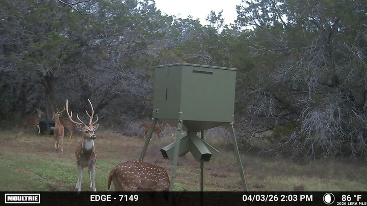 Property Photo:  Tbd 37 Acres Elm Pass  TX 78003 