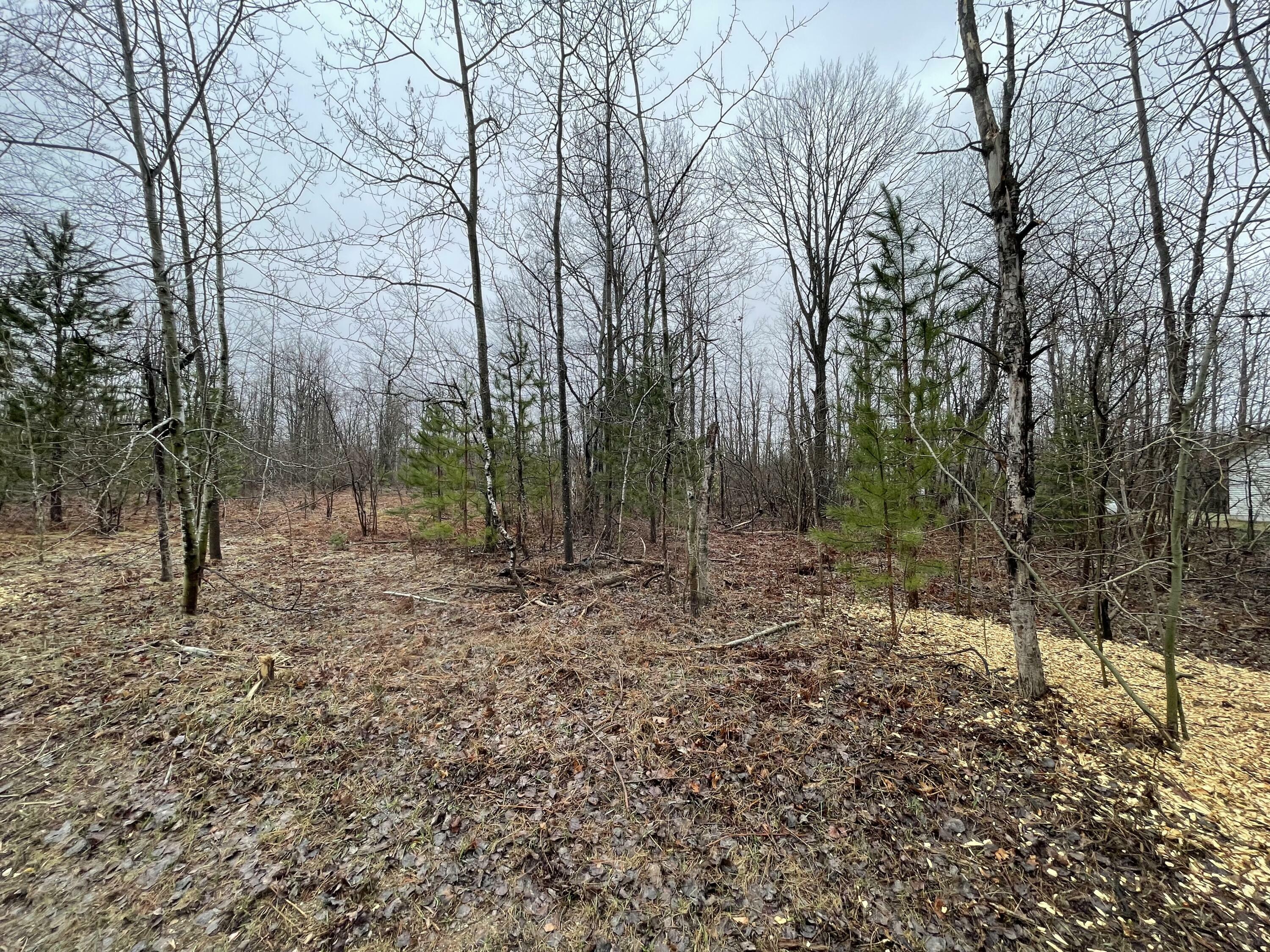 Property Photo:  Lot 54 Pineview Drive  MI 49659 