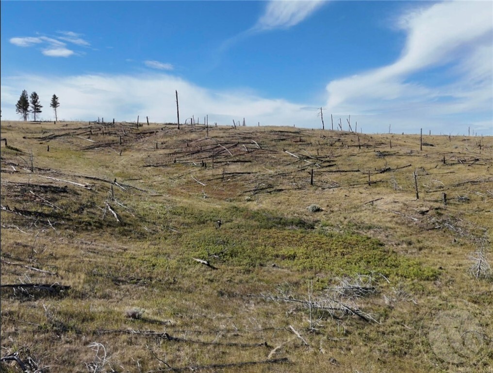 Property Photo:  Tbd Buckskin Road  MT 59072 