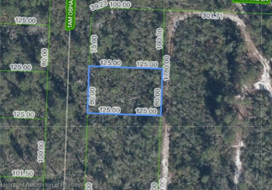 Property Photo: 10723 Tam Oshanter Boulevard FL 33875