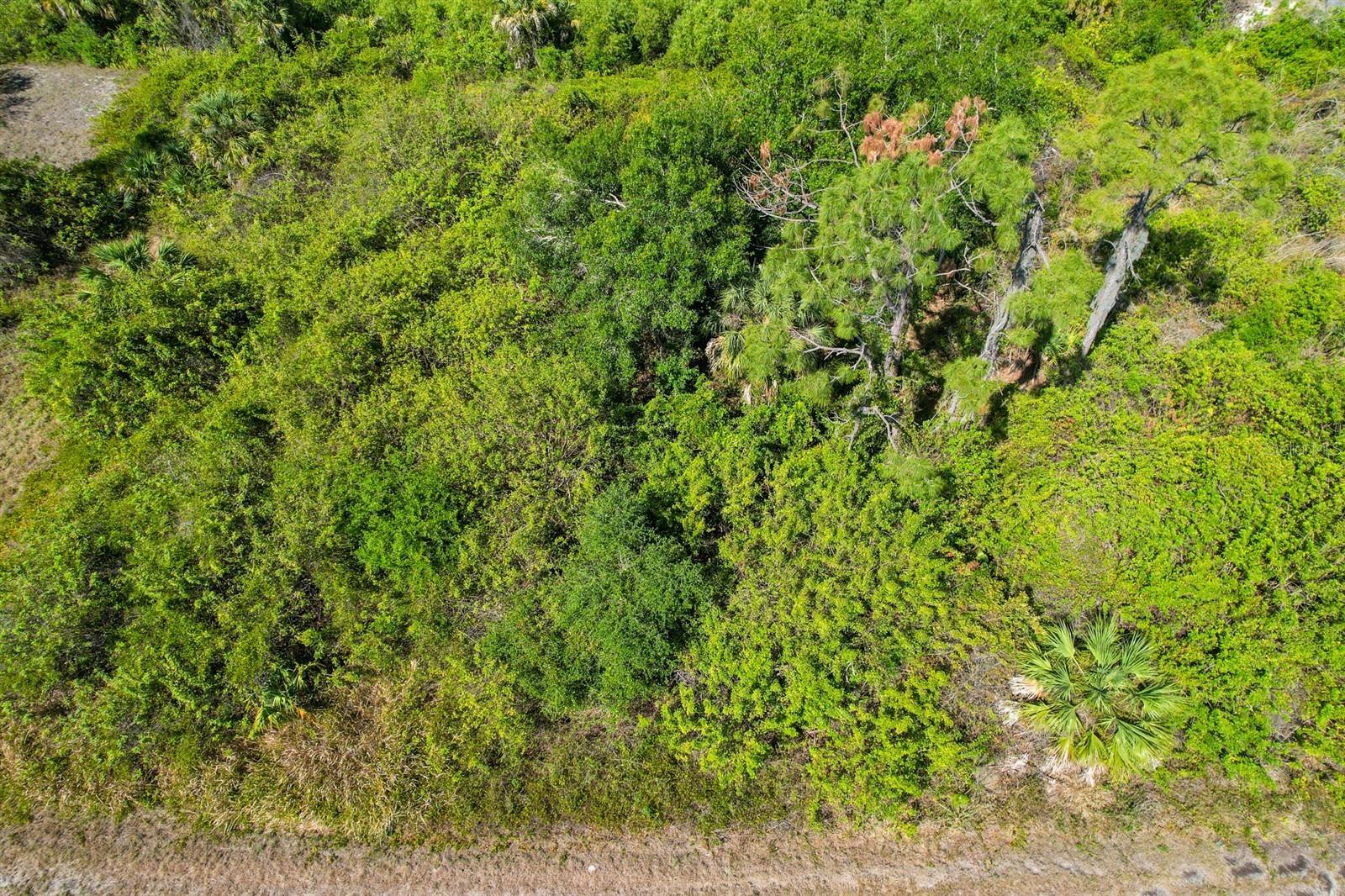 Property Photo:  Ironside Street  FL 34288 