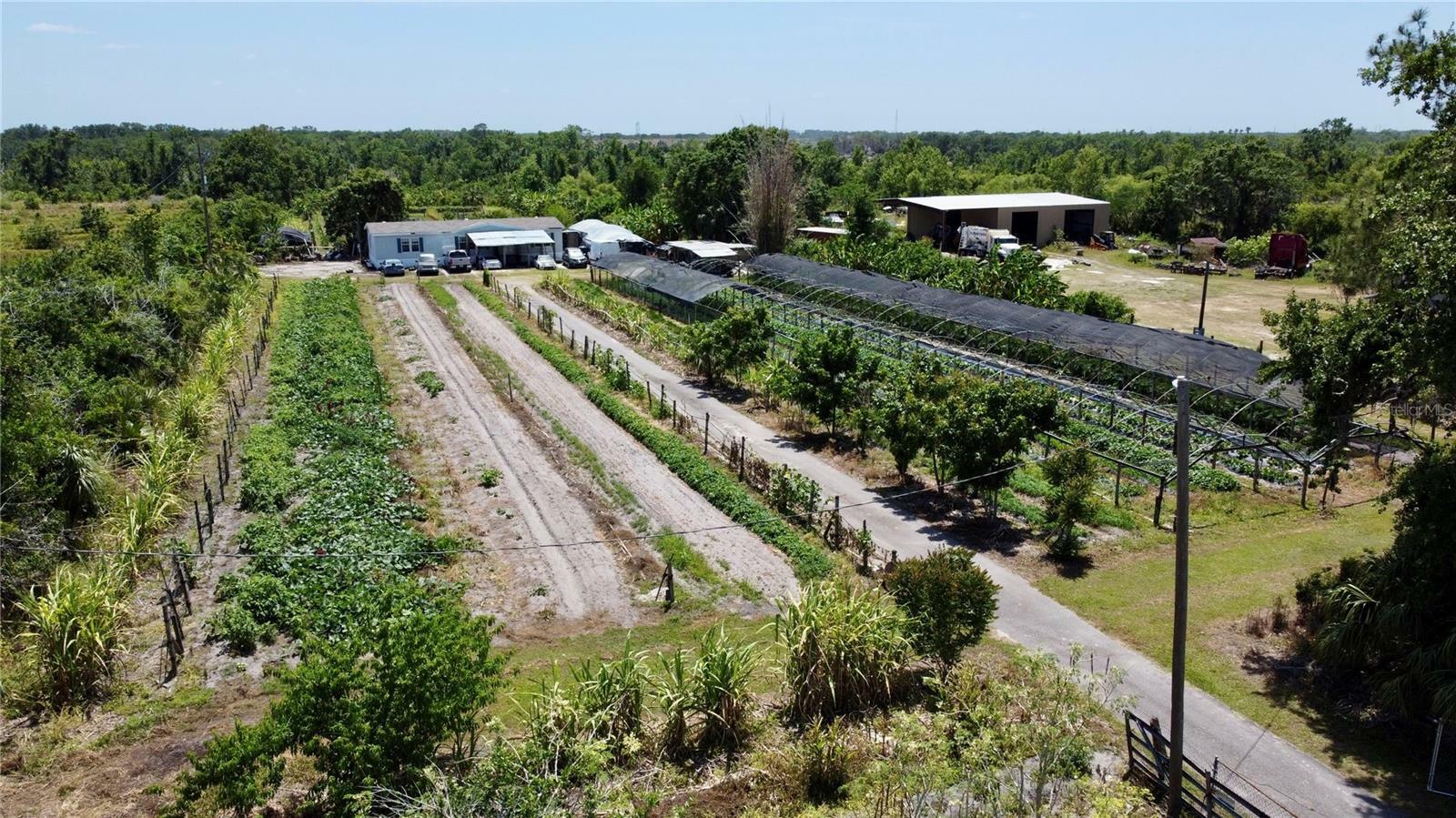 Property Photo: 11101 Sumner Road FL 33598