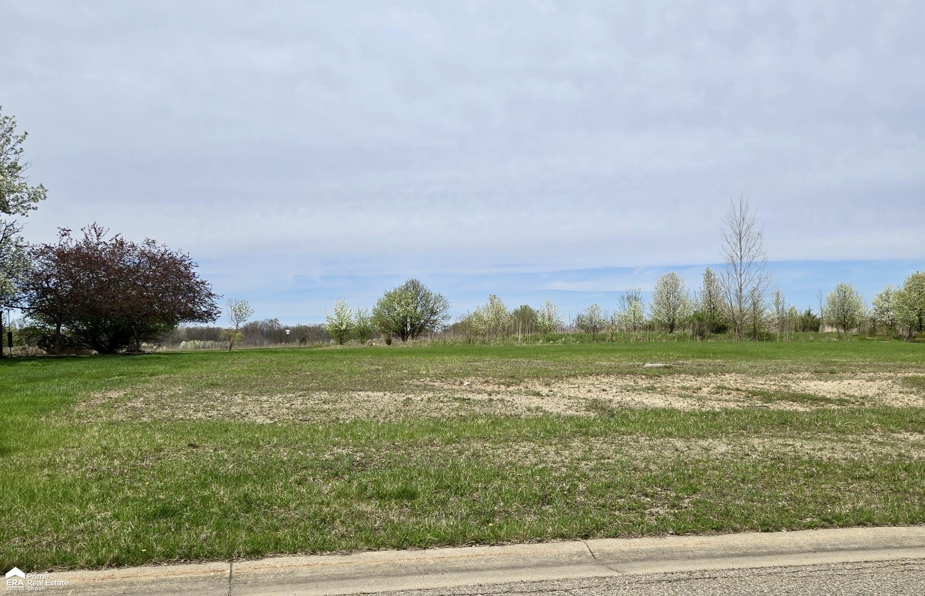 Property Photo:  17178 Kings Fairway Street  MI 48439 