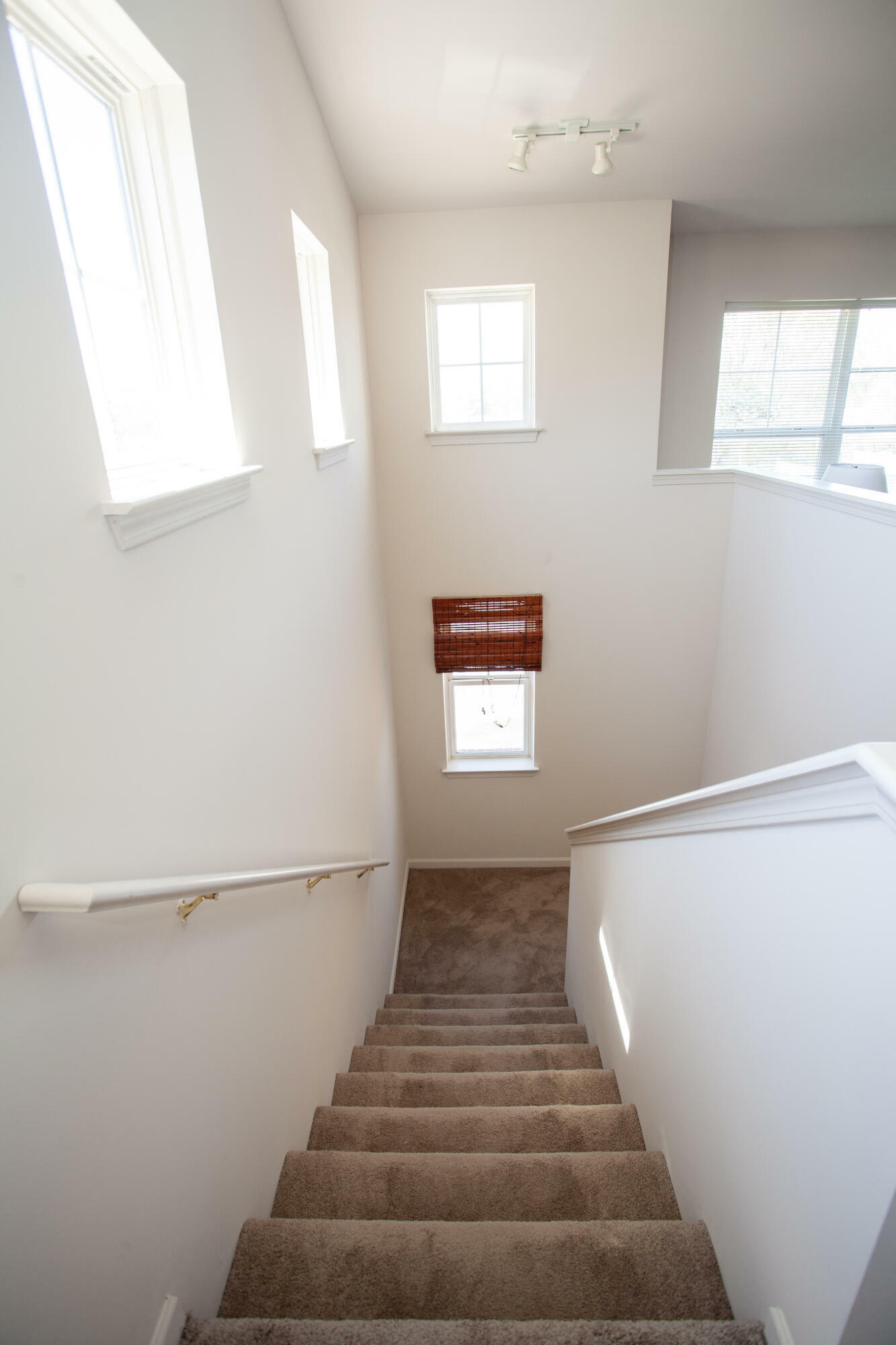 Property Photo: 3280 Hilton MI 48220