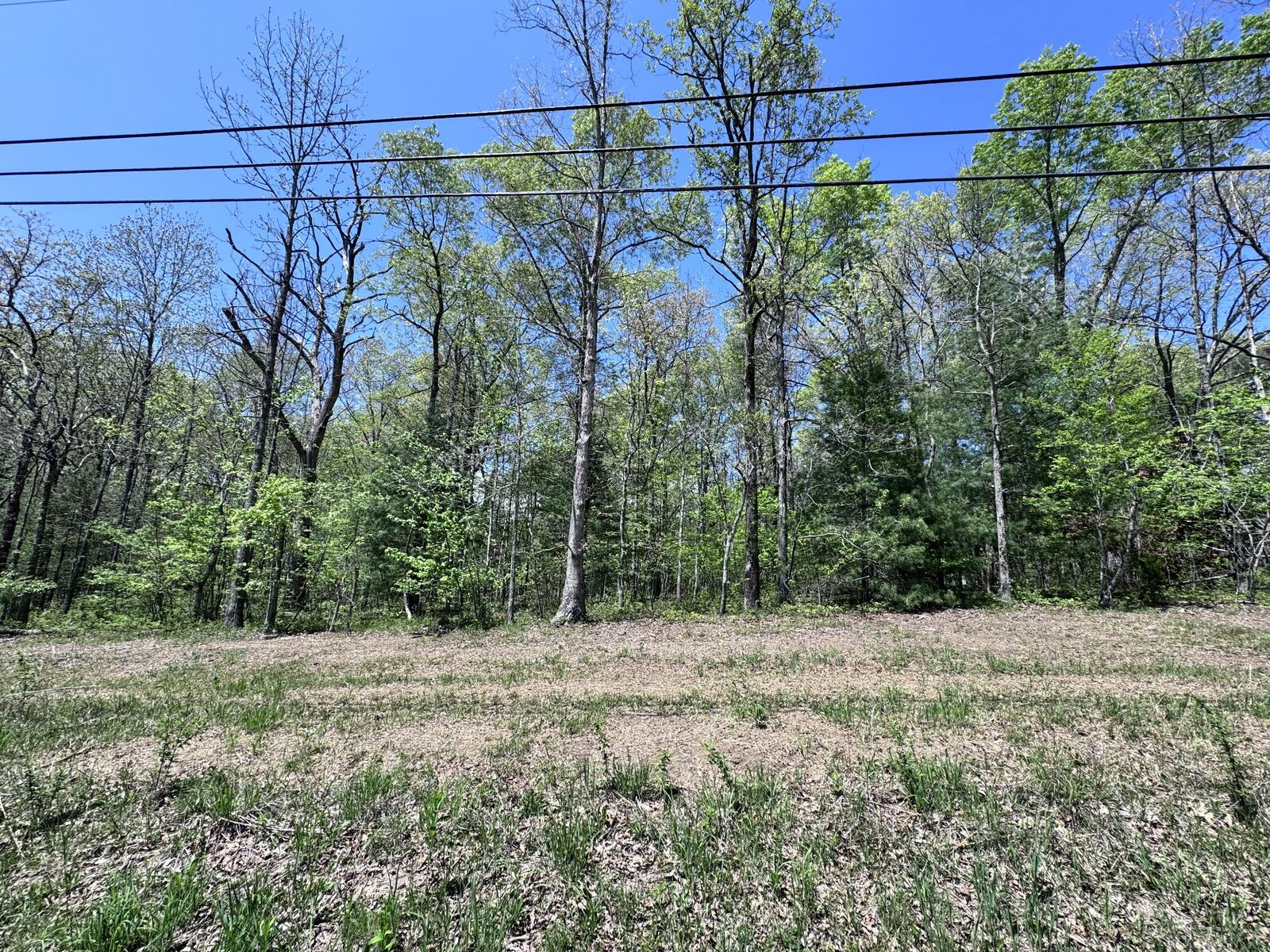 Property Photo:  1027 Natchez Trce  TN 38572