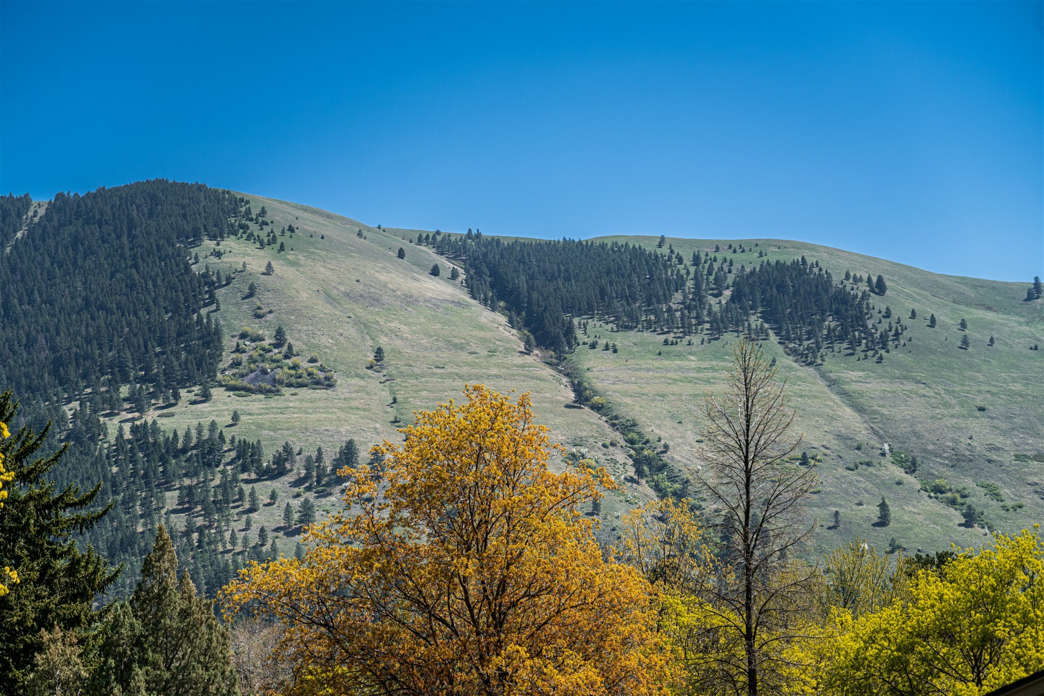 Property Photo: 2325 Skyline Drive MT 59802