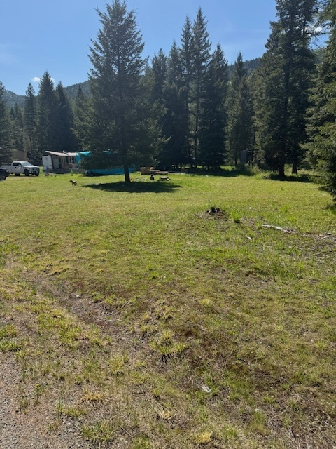 Property Photo:  350 Piney Road  MT 59935 