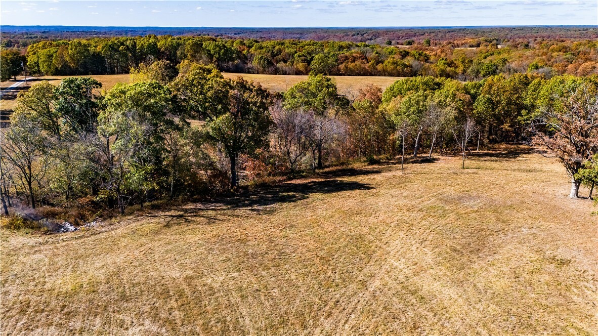 Property Photo: Lot 2 Of 4692 State Hwy 90 MO 65772