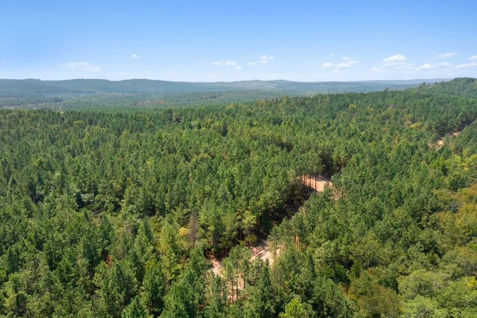 Property Photo: 411 Kaisley Blue Eye Way OK 74728