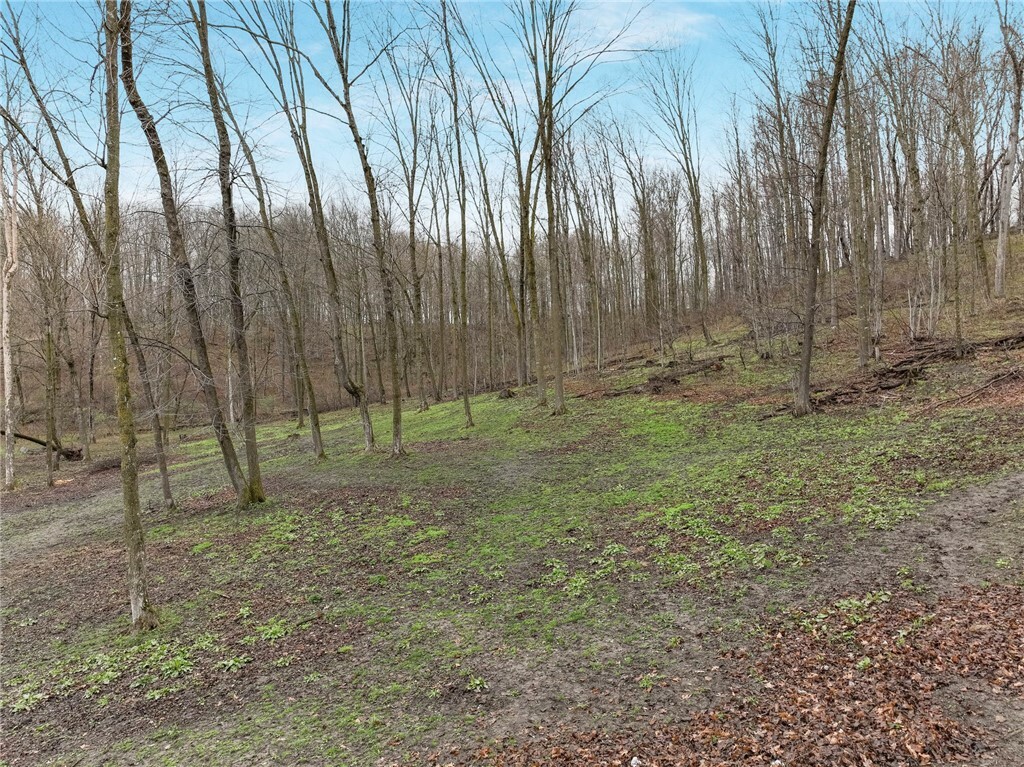 E5081 865th Street  Boyceville WI 54725 photo