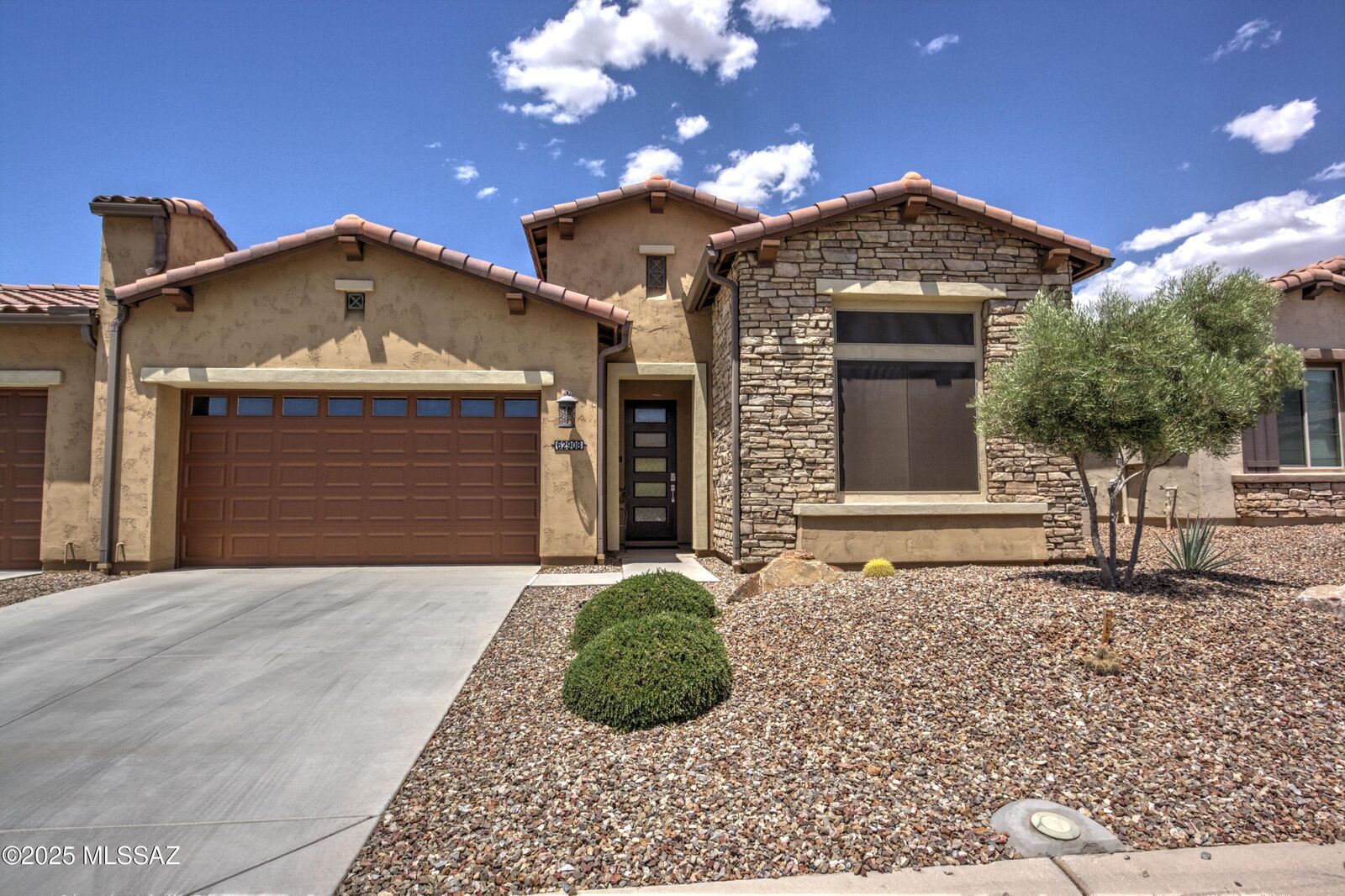 Property Photo:  62908 E Thunder Rock Drive  AZ 85739 