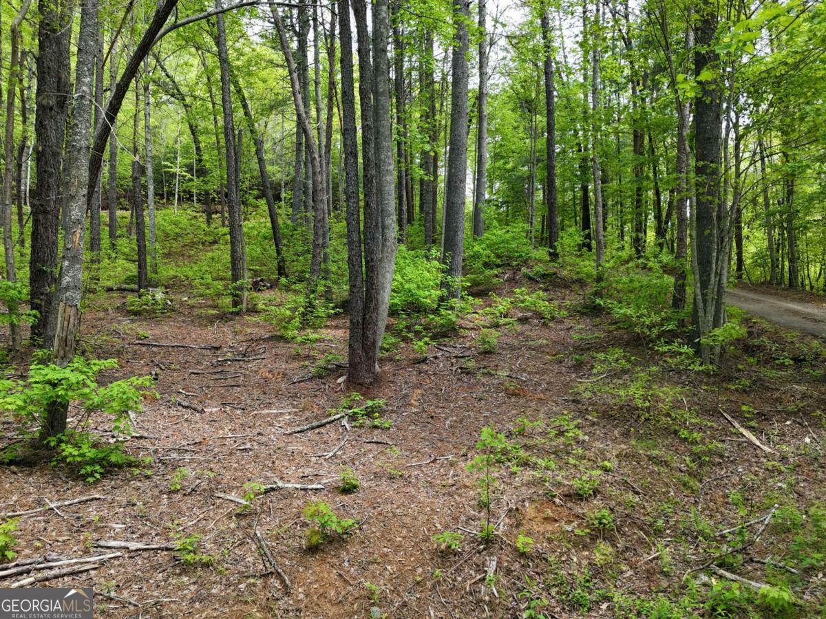 Property Photo: Tract 3C Riverside Drive GA 30546