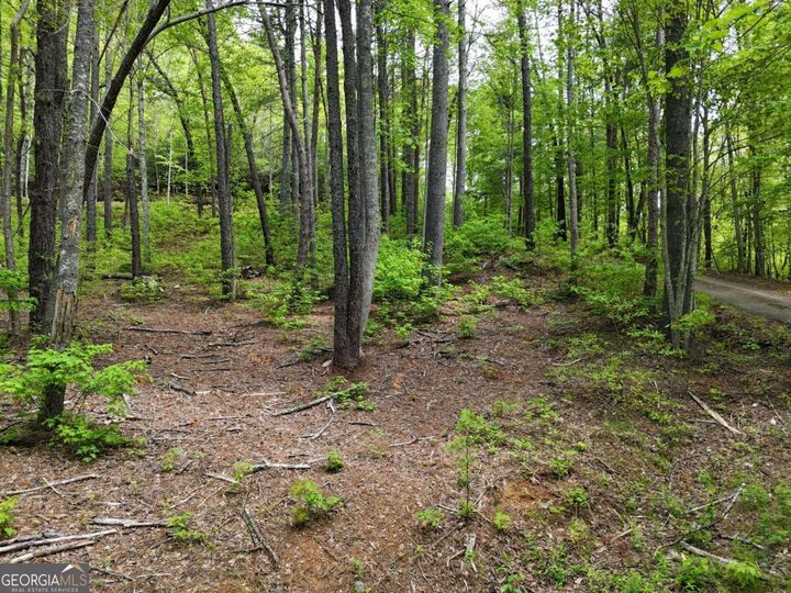 Tract 3C Riverside Drive  Hiawassee GA 30546 photo