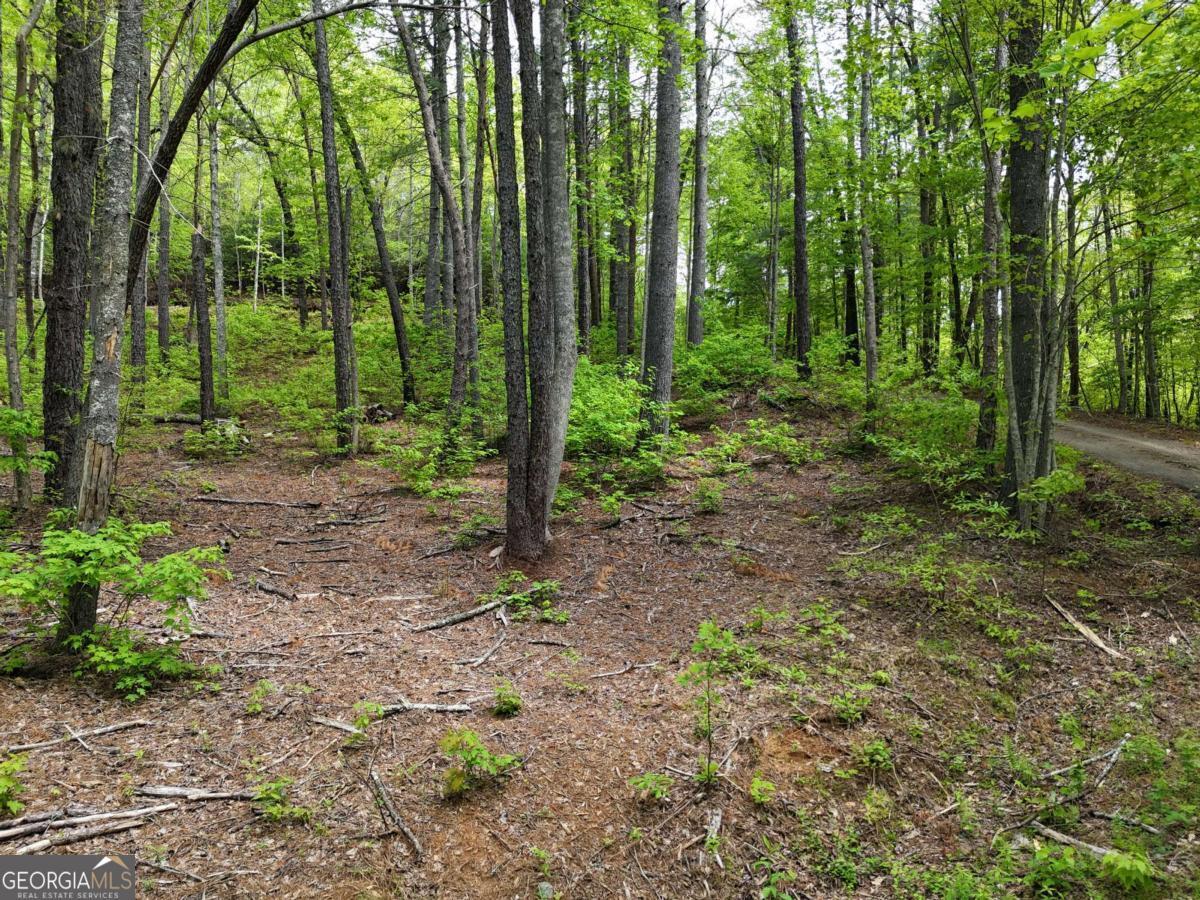 Property Photo: Tract 3C Riverside Drive GA 30546