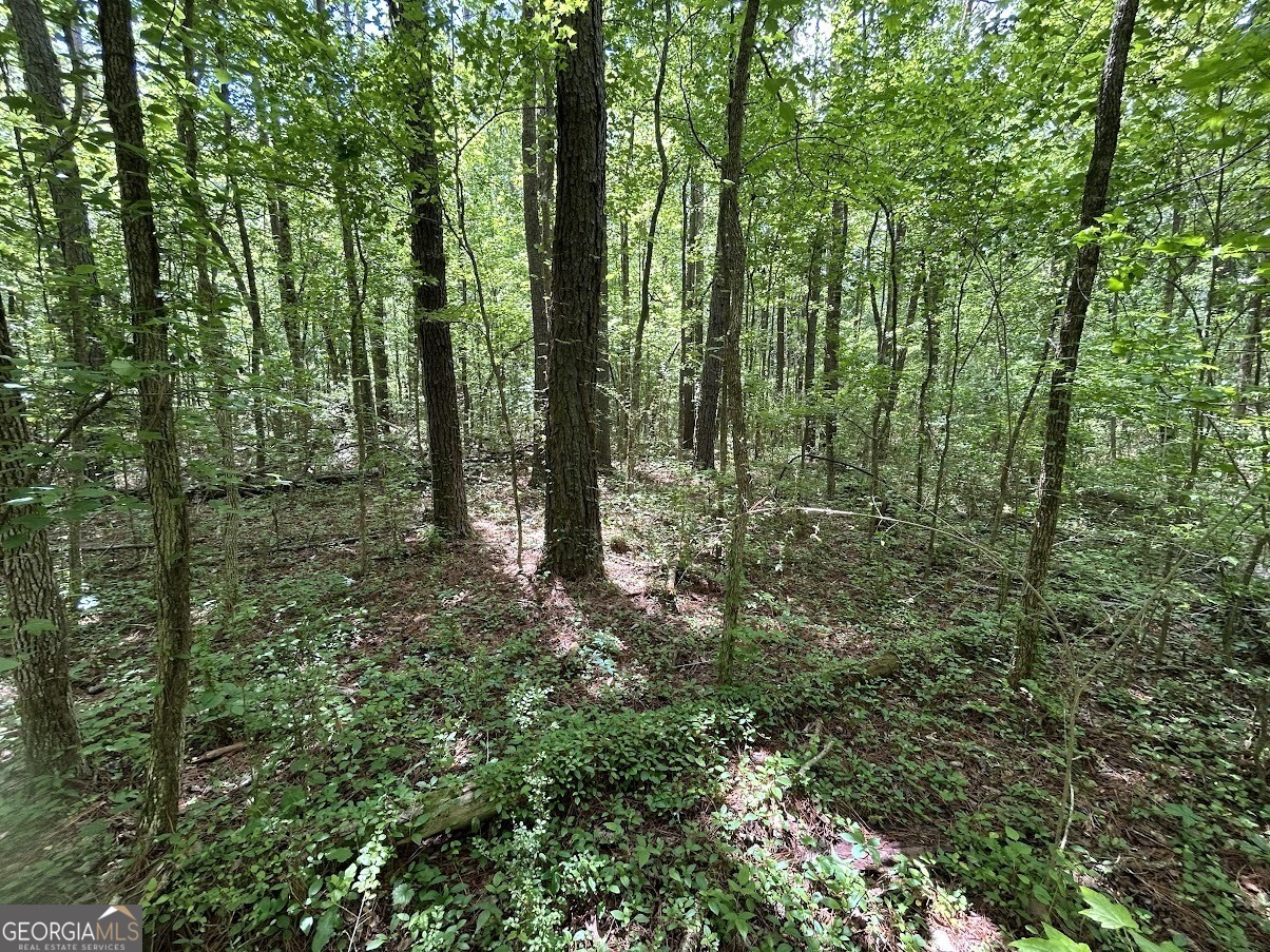 Property Photo: 0 Hog Liver Road GA 30117