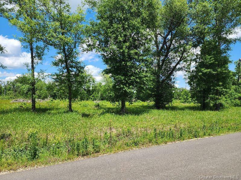 Property Photo: 380 Andrew Mouhot Road LA 70657