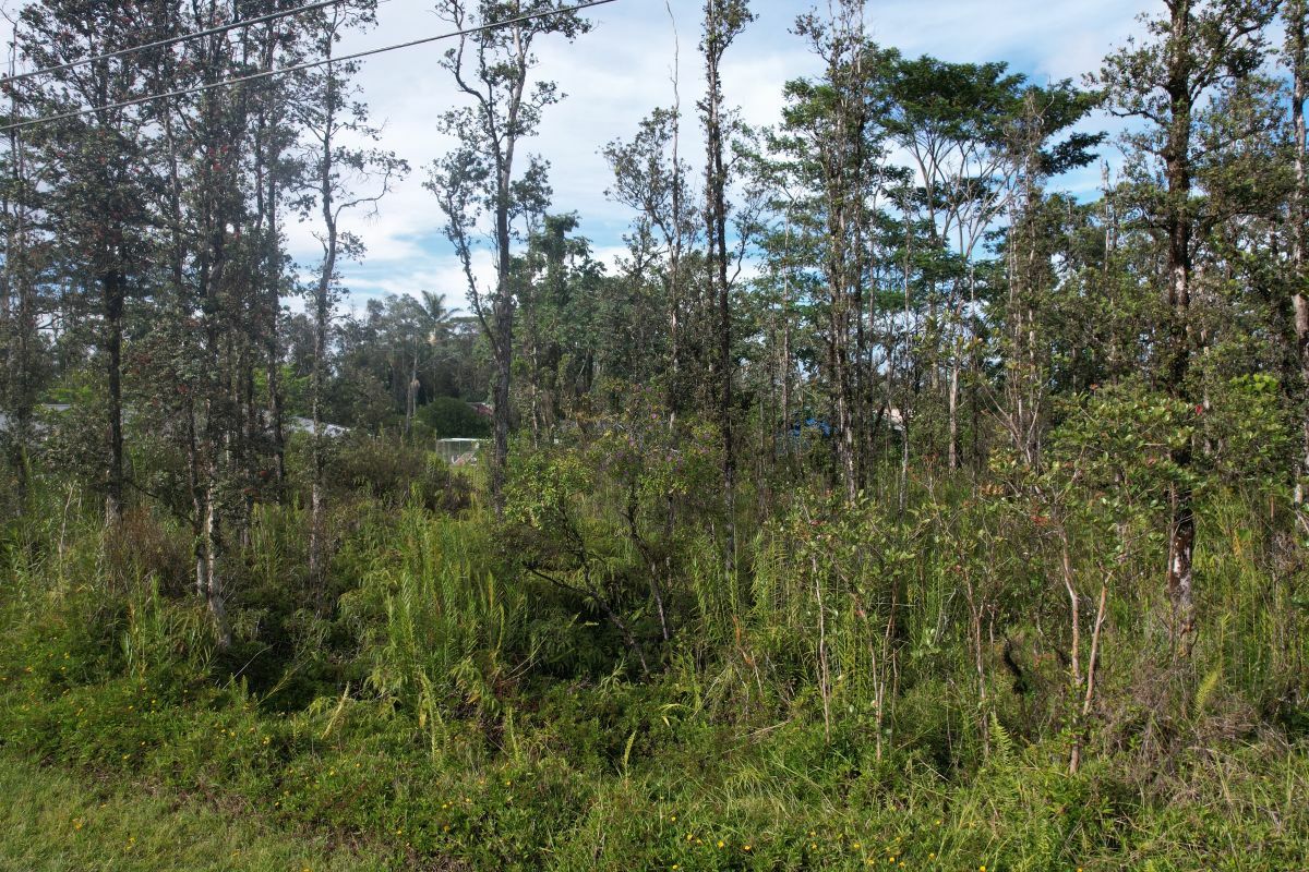 Property Photo: Plumeria Dr HI 96778