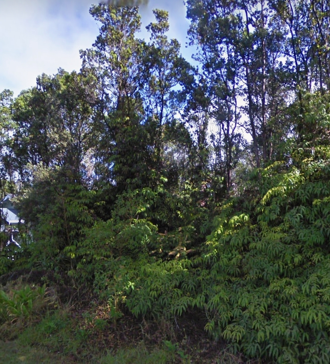 Property Photo:  Liona St  HI 96785 