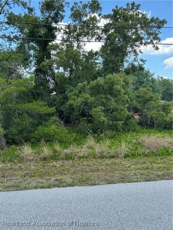 Property Photo: 210 Roosevelt Avenue NE FL 33852