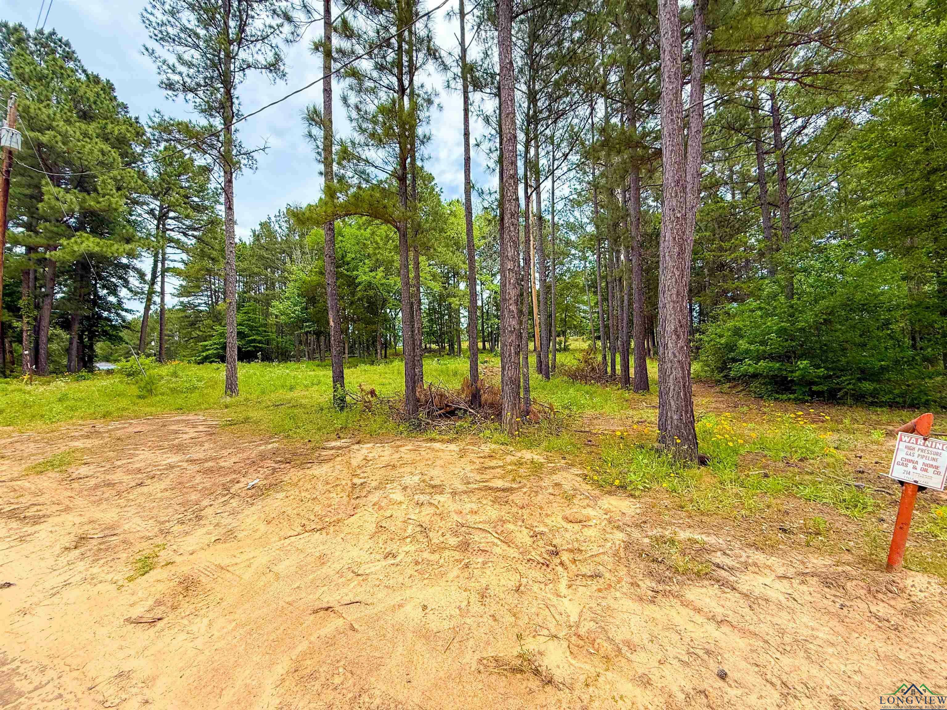 Property Photo: Tbd Cr 128 TX 75684
