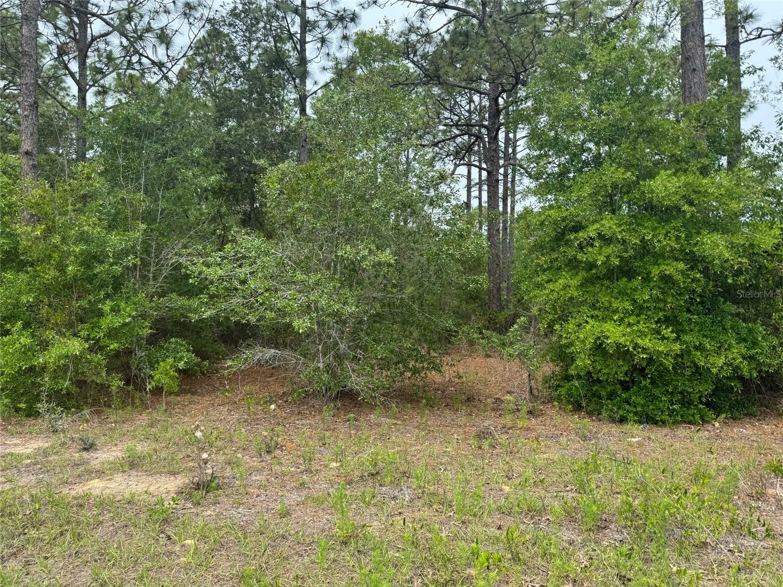 Property Photo: SW Floral Court Lot 12 FL 34431