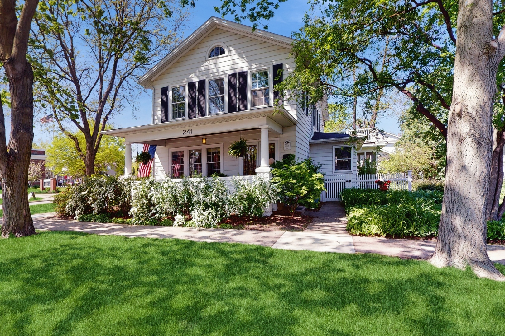 Property Photo: 241 W Van Buren Avenue IL 60540