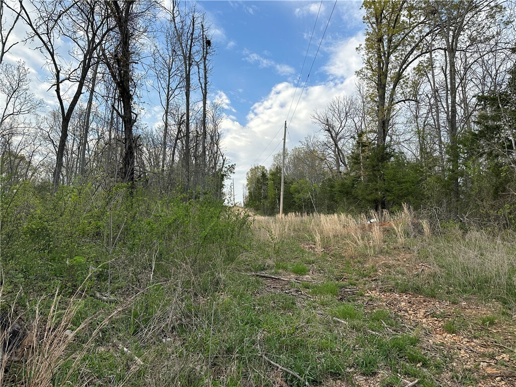 Property Photo:  188 Oregon Trail  AR 72672 