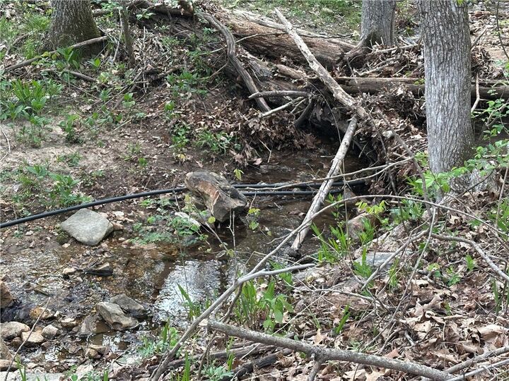 Property Photo:  188 Oregon Trail  AR 72672 