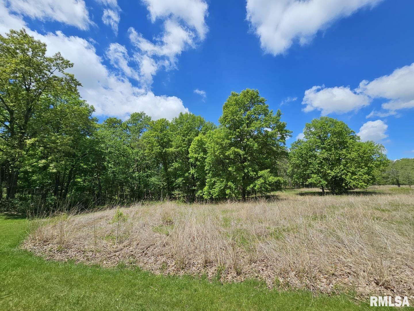 Property Photo: Lot 41 N Deer Park Drive IL 62830