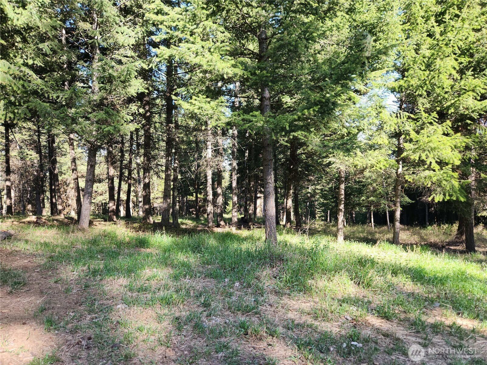 Property Photo:  51  Trapline Loop Road  WA 98844 