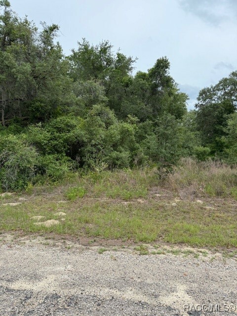 Property Photo: 7911 N. Walton Terrace FL 34434