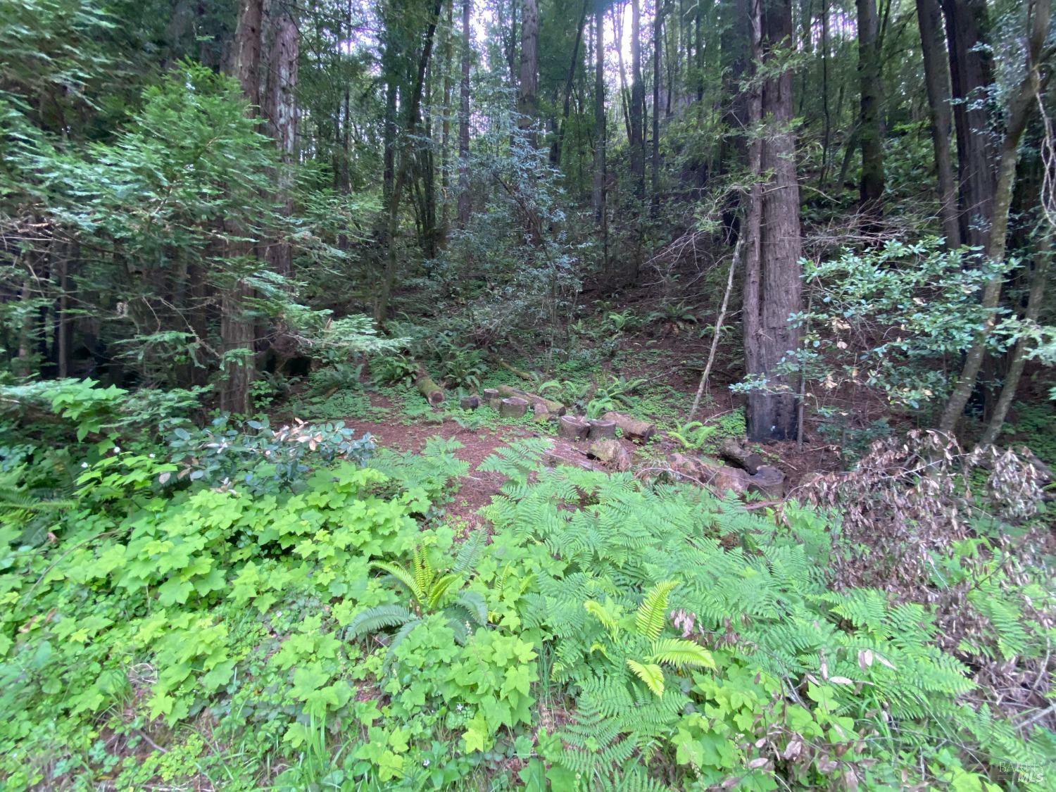 Property Photo: 925 Cazadero Highway CA 95421