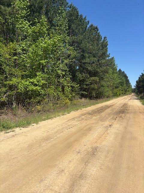 Property Photo: 0 Mt Pleasant Church Road GA 31701