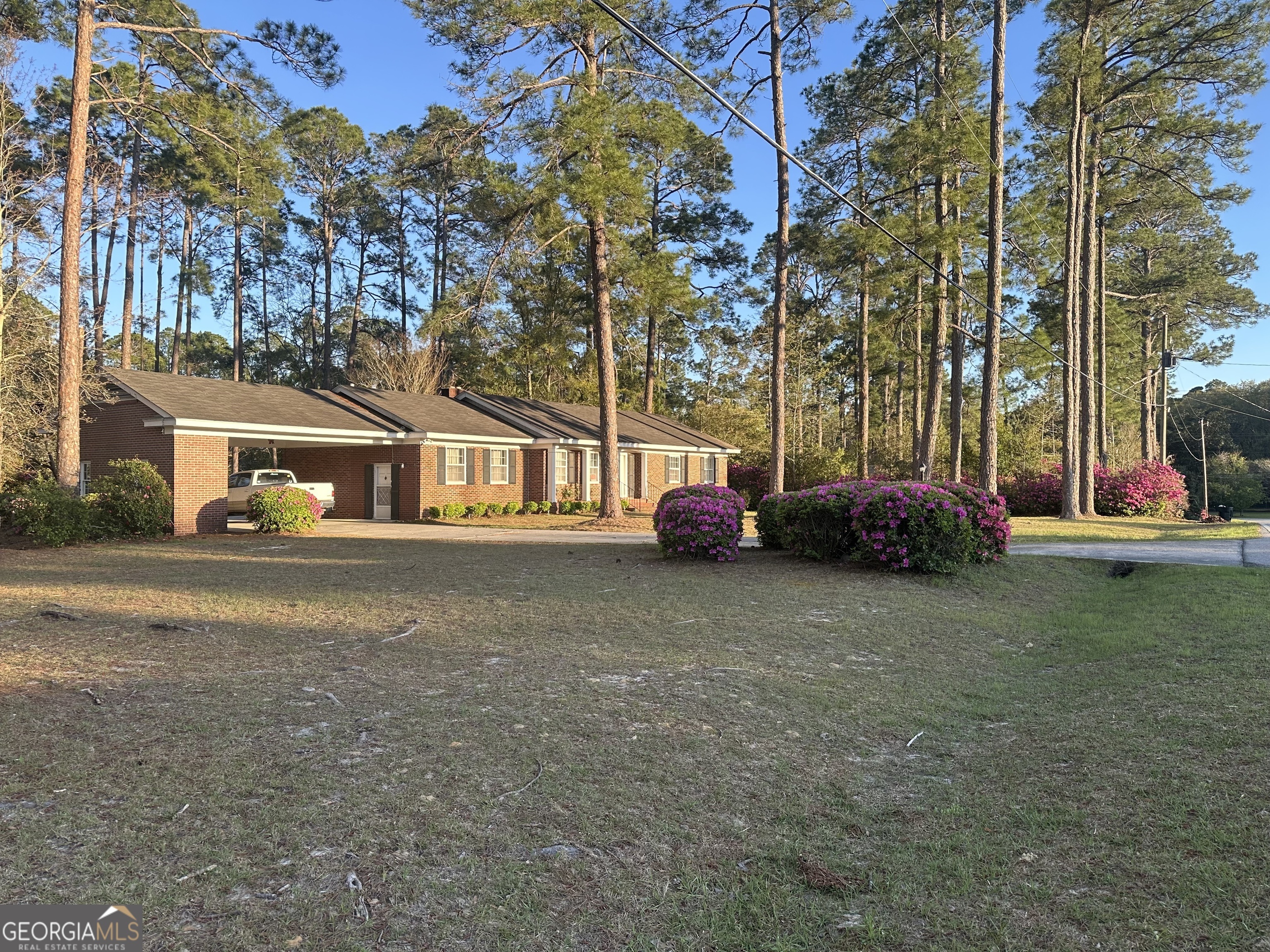 Property Photo: 102 Lynn Avenue GA 30458