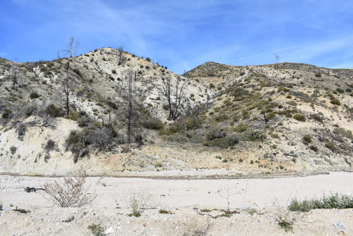 Property Photo:  20661 Pine Canyon Road  CA 93532 